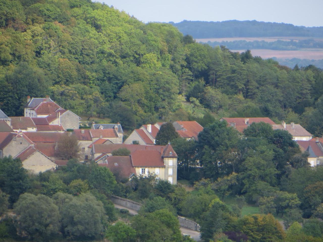 Le Bailli De Montsaugeon Bed and Breakfast Eksteriør billede
